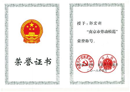 集团董事长郭宏新荣获“南京市劳动模范”称号